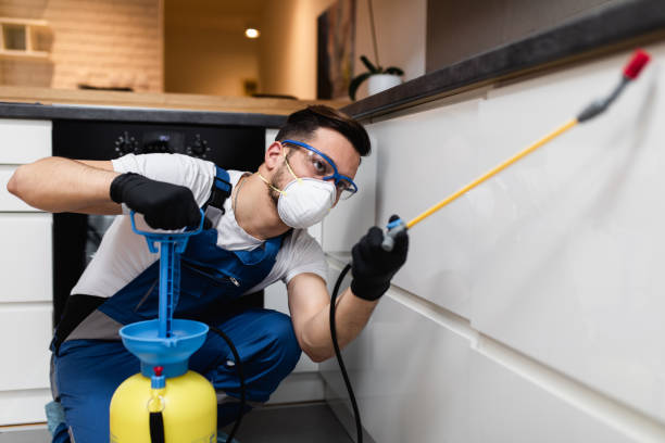 Best Mosquito Control Services  in Roseville, CA