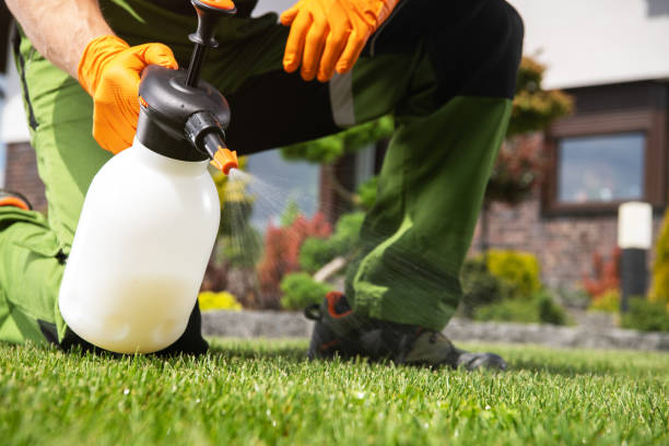 Best Bed Bug Extermination  in Roseville, CA