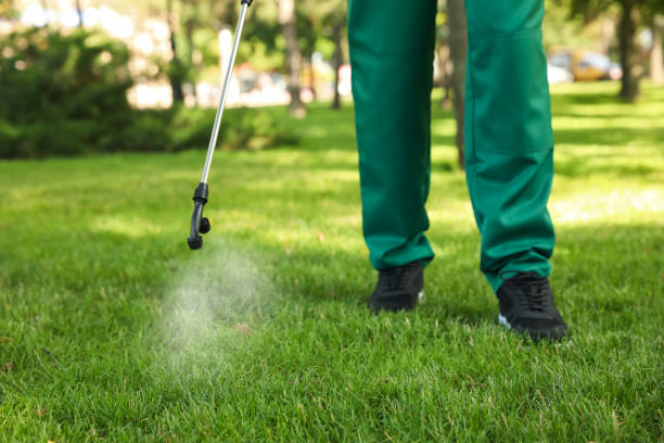 Best Best Pest Control Companies  in Roseville, CA