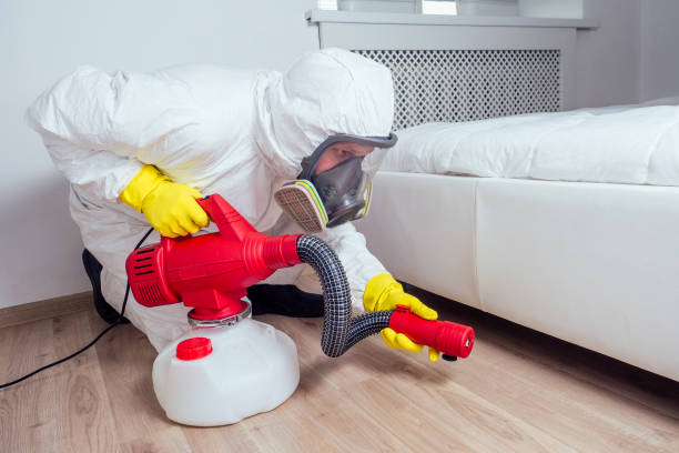 Best Affordable Pest Control Services  in Roseville, CA