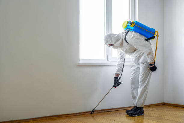 Best Pest Control for Restaurants  in Roseville, CA