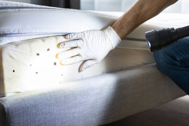 Best Pest Prevention Services  in Roseville, CA