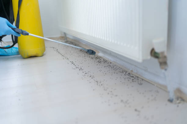 Trusted Roseville, CA Pest Control Experts