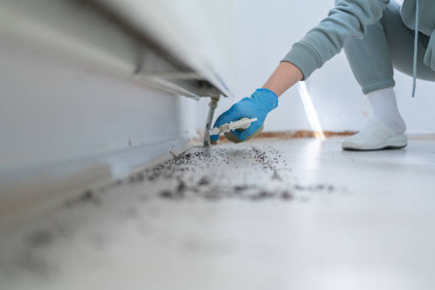 Best Pest Inspection Near Me  in Roseville, CA